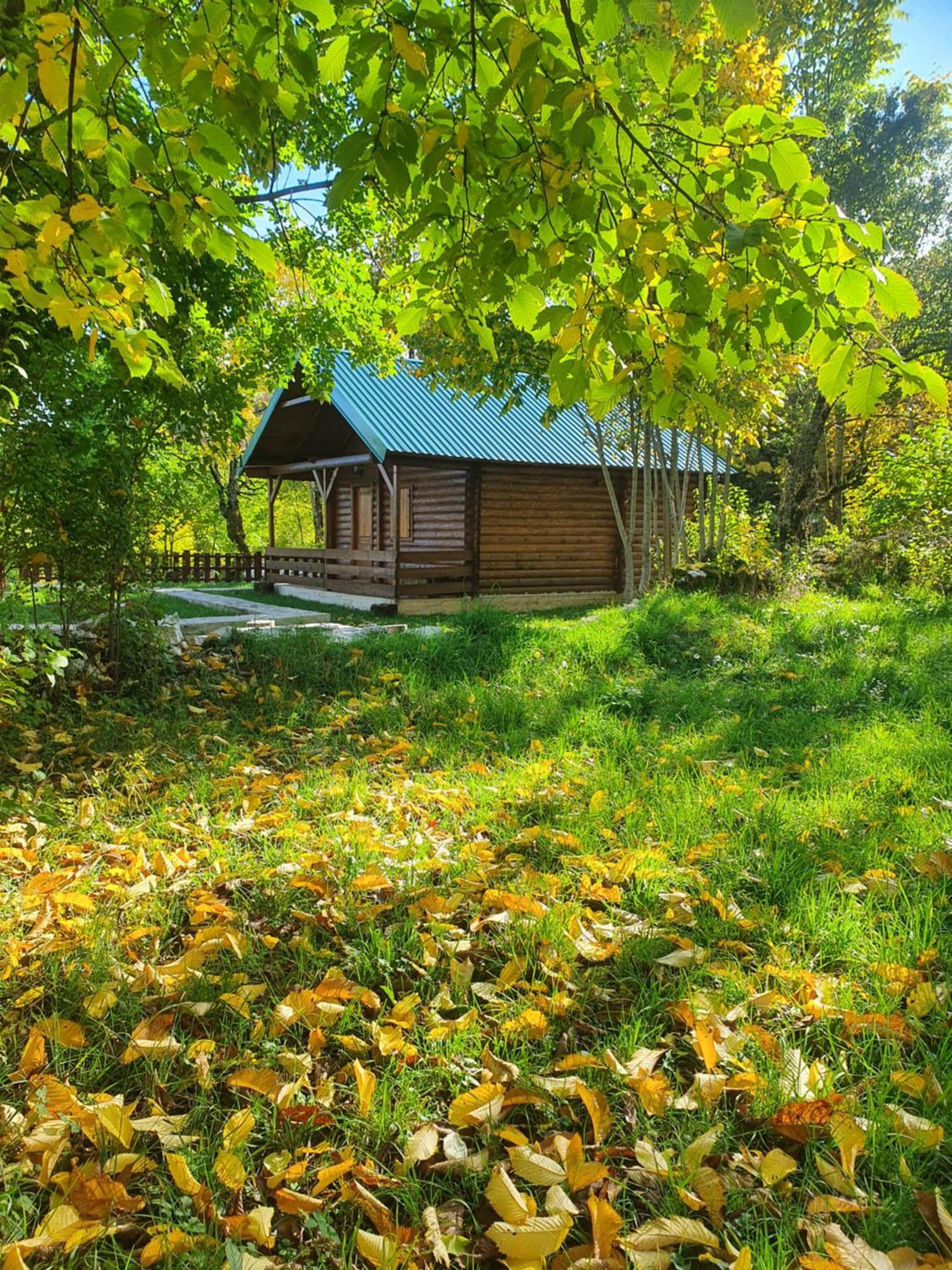Cabin House Dubovik Cetinje Extérieur photo