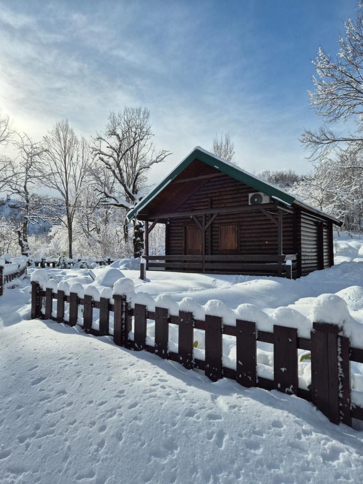 Cabin House Dubovik Cetinje Extérieur photo