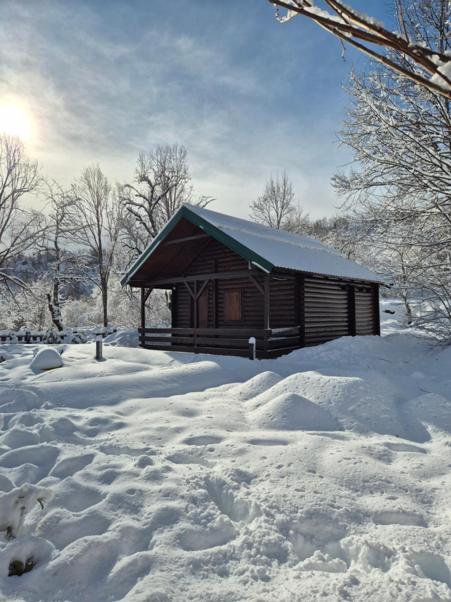 Cabin House Dubovik Cetinje Extérieur photo